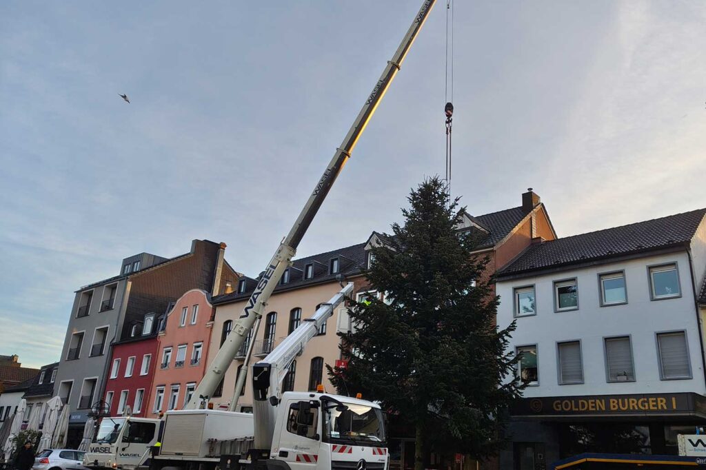 Kran und Hubwagen arbeiten am Weihnachtsbaum