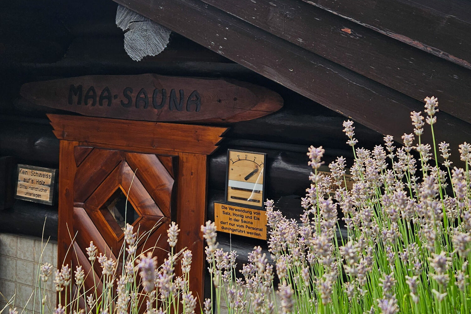 MAA-Sauna außen mit Lavendel im Vordergrund